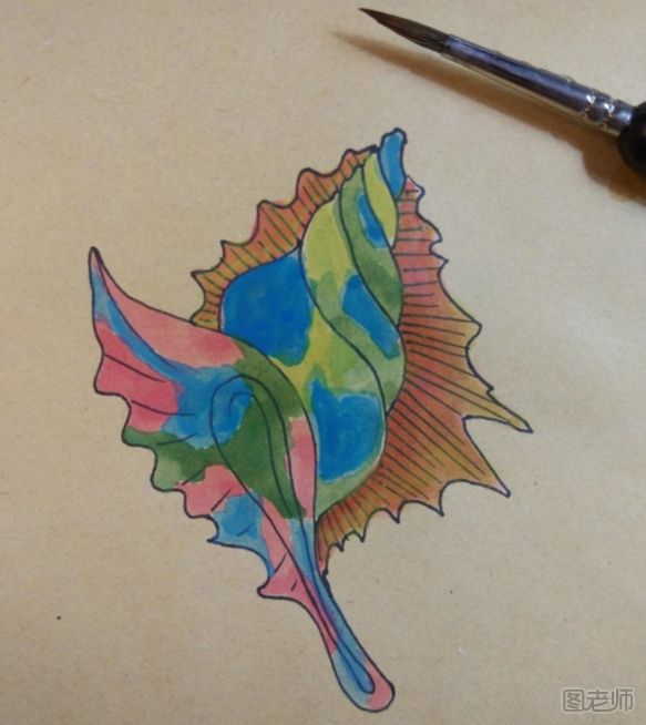 彩螺的画法 彩色的海螺怎么画