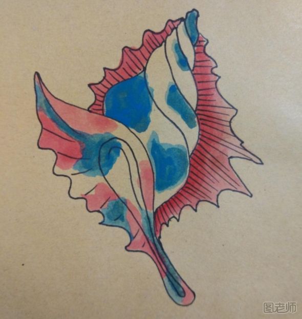 彩螺的画法 彩色的海螺怎么画