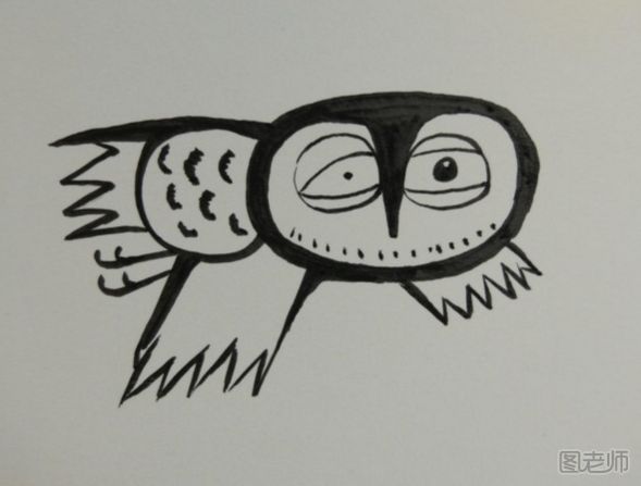 猫头鹰简单绘画步骤图 猫头鹰趣味插画图解教程