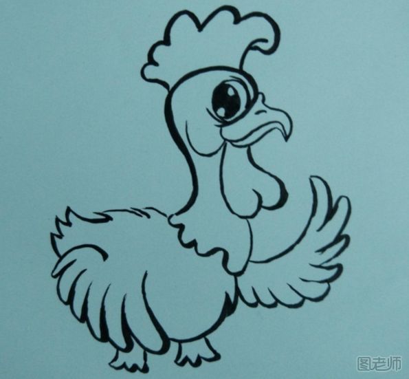 自信的小公鸡手绘画图解教程 小公鸡的画法