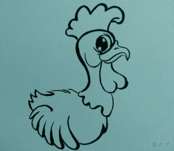 自信的小公鸡手绘画图解教程 小公鸡的画法