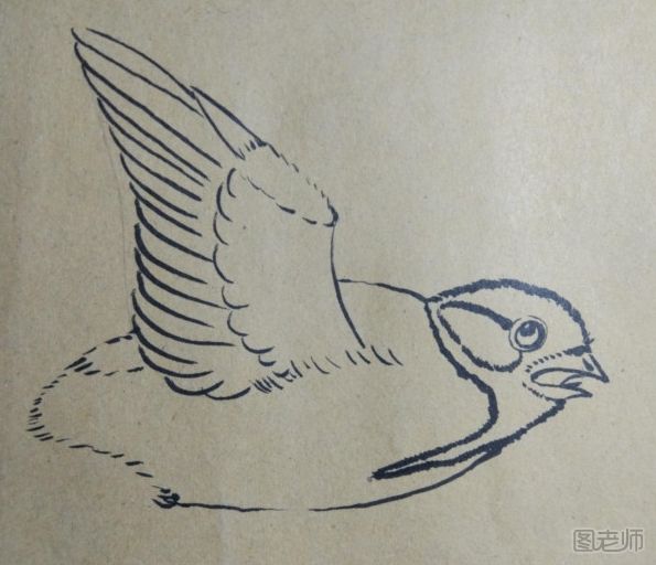可爱的小鸟手绘图解教程 小鸟手绘图的画法