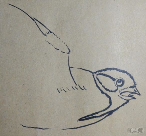 可爱的小鸟手绘图解教程 小鸟手绘图的画法