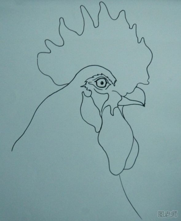大公鸡手绘画图解教程 大公鸡手绘画的画法