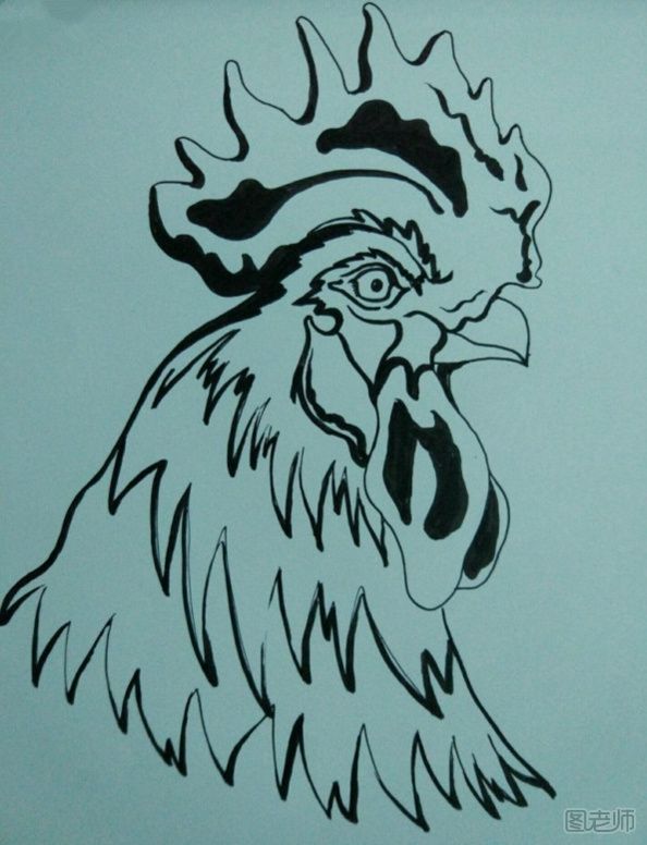 大公鸡手绘画图解教程 大公鸡手绘画的画法
