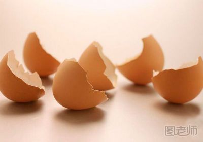 鸡蛋壳有什么用 可以用鸡蛋壳做什么
