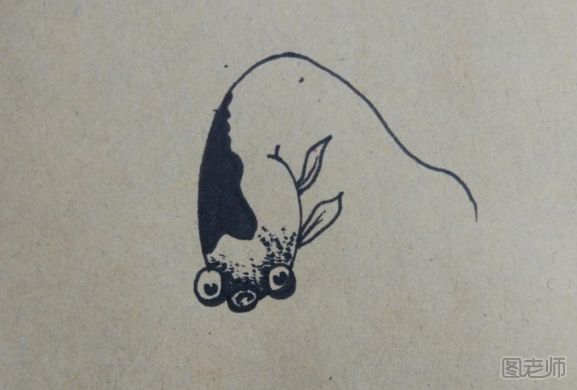 金鱼手绘画的图解教程 金鱼手绘画的画法