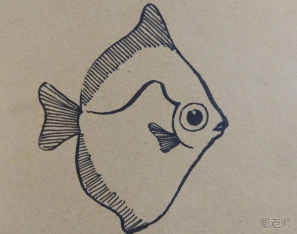 可爱的小丑鱼简笔画 小丑鱼简笔画的画法