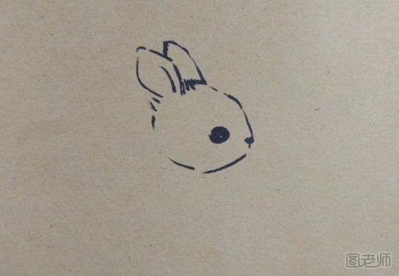 呆萌的小兔子彩绘画教程 小兔子彩绘画的画法