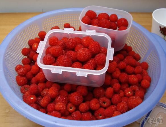 野草莓的功效有哪些 野草莓的作用是什么