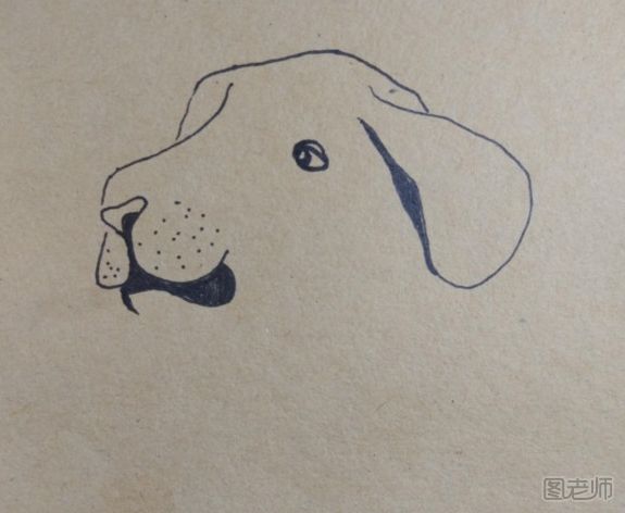 可爱的斑点狗手绘画教程 斑点狗手绘画的画法