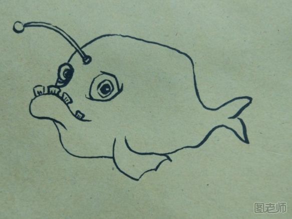 电鱼简笔画教程 电鱼简笔画的画法