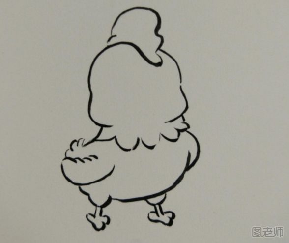 小鸡插画图解教程 小鸡插画的画法