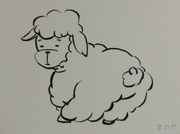 灰绵羊手绘画图解教程 灰绵羊手绘画的画法