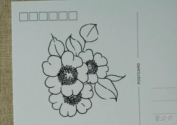 简单漂亮的手绘明信片作品-花朵图案的手绘贺卡