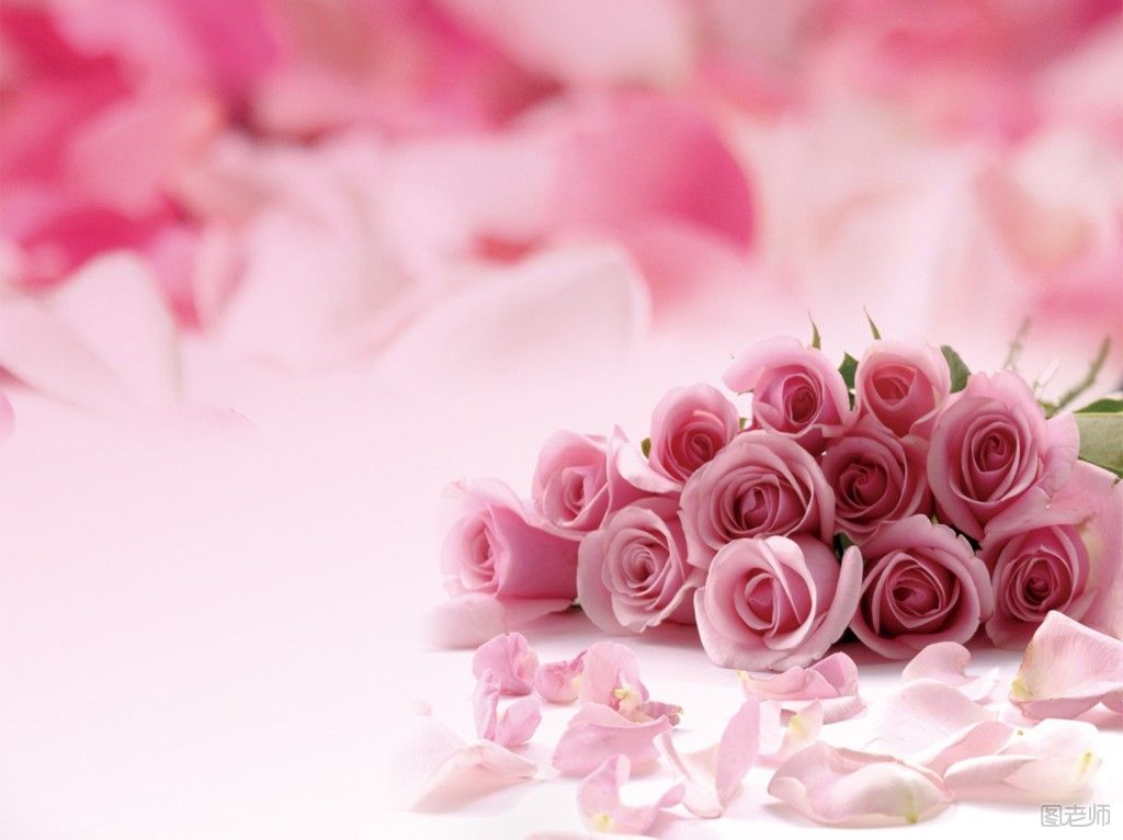 情人节送花不出错 十二星座女送什么玫瑰花最好 