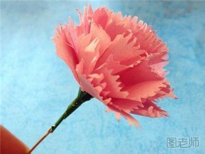 母亲节礼物：漂亮的折纸康乃馨
