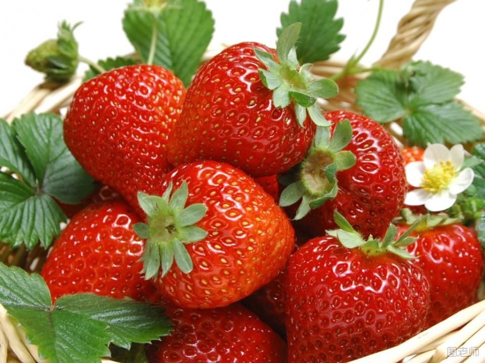 怎么挑选好的草莓