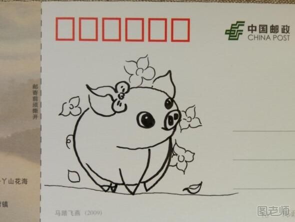 原创DIY手绘漫画：可爱的小猪