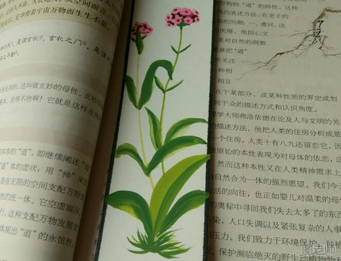 DIY手绘画书签之漂亮的花朵