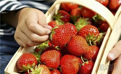 春季摘草莓要注意什么 春季摘草莓的注意事项