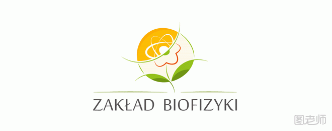 如何设计花朵logo？花朵设计素材gif