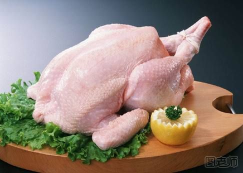 禽流感期间能吃鸡吗 禽流感时期仍可放心吃鸡