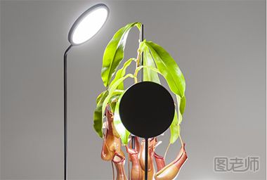创意产品设计 植物与灯光的完美结合