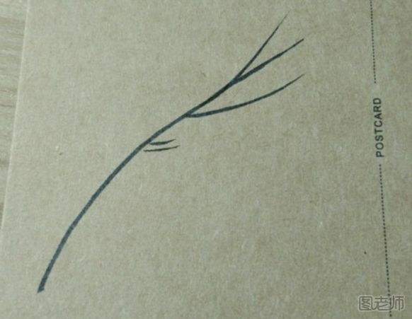 DIY明信片：简单漂亮的羽毛手绘明信片