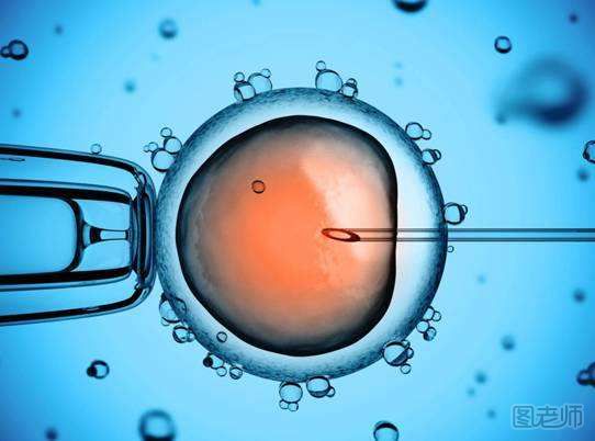 男婴出生就18岁 冷冻胚胎是怎么回事