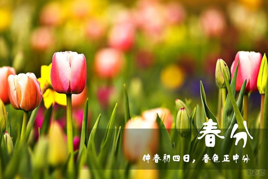 春分要做什么 关于春分节气的传统民俗活动有哪些