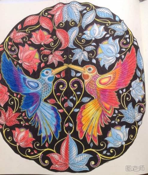 2017秘密花园两只蜂鸟填色涂色作品大全