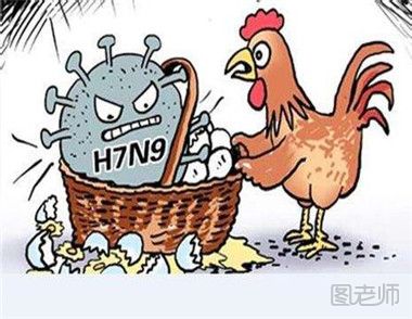 禽流感高发期怎么判断自己是不是中招了,得了