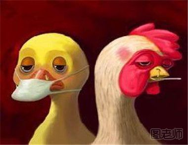 禽流感的症状有哪些 禽流感的症状