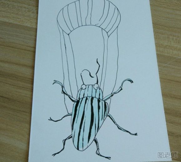 DIY手绘画 简单的昆虫装饰画步骤