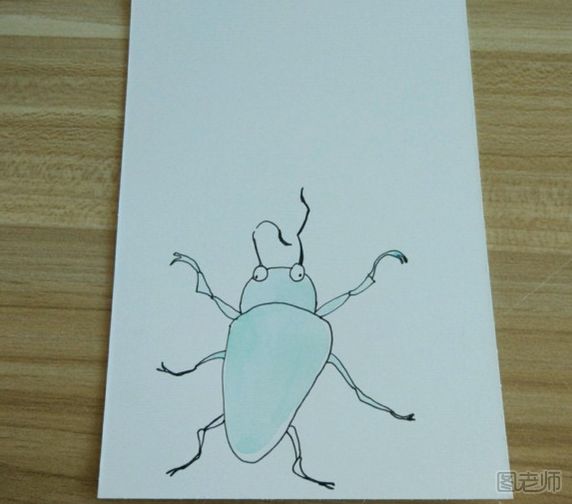 DIY手绘画 简单的昆虫装饰画步骤