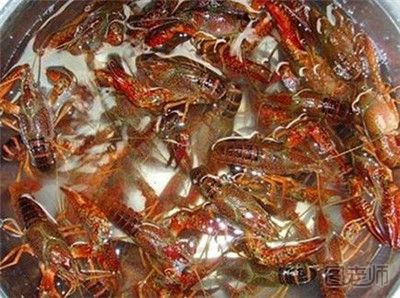 武汉多处回收死龙虾加工做虾仁 如何选购龙虾