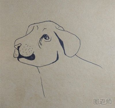可爱斑点狗绘制步骤 呆萌小动物漫画