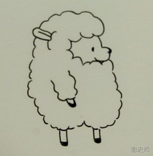 DIY手绘小羊明信片教程