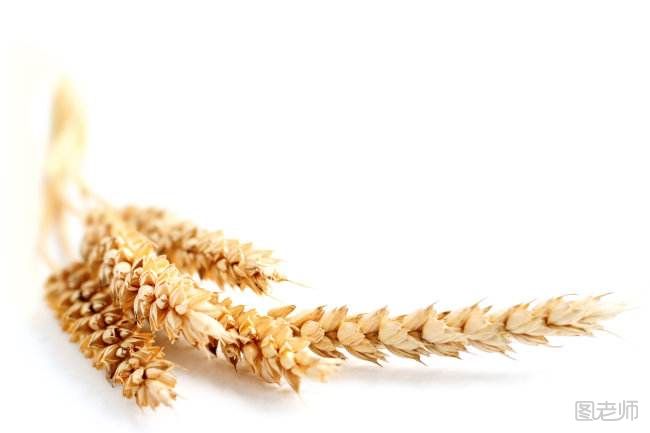 中储粮小麦存变质 小麦怎么储藏