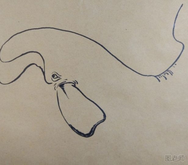 DIY小鲸鱼彩绘画教程
