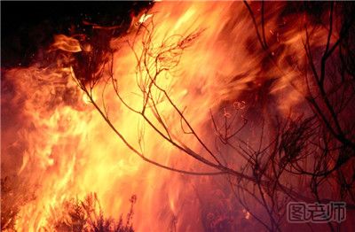呼伦贝尔森林发生重大火灾 如何预防森林火灾