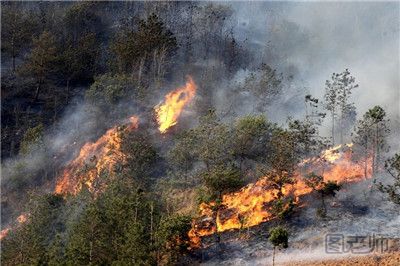 呼伦贝尔森林发生重大火灾 如何预防森林火灾