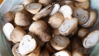 长沙夫妇食用干蘑菇中毒入院 如何正确选购蘑菇
