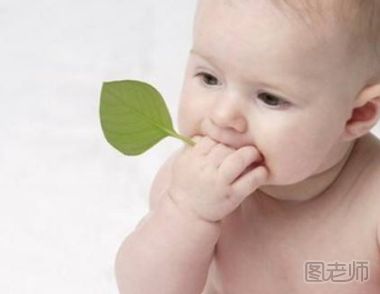 如何正确预防宝宝被螨虫叮咬