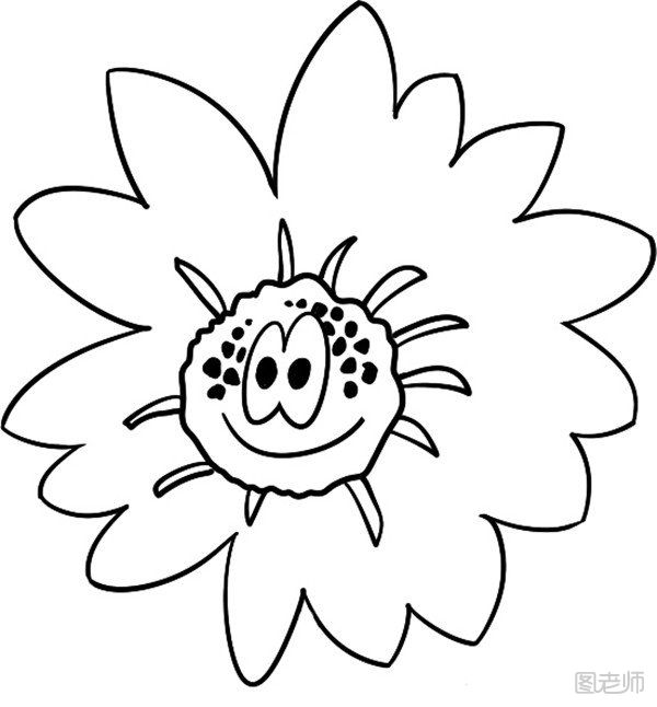 儿童简笔画：灿烂的雏菊绘画教程