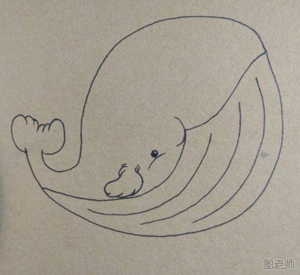 可爱鲸鱼手绘明信片教程