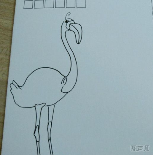 DIY明信片 鸵鸟手绘明信片