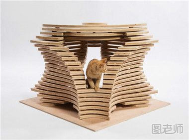 有趣的纸箱猫窝设计