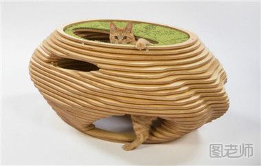 有趣的纸箱猫窝设计